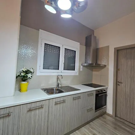 Spacious & Comfortable Modern House *